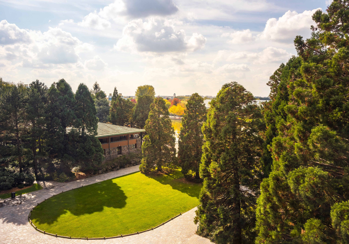 Sequoia Lodge - Disney Hotels 