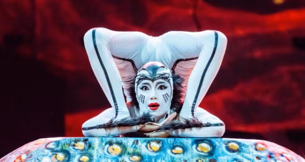 ovo spider contortion